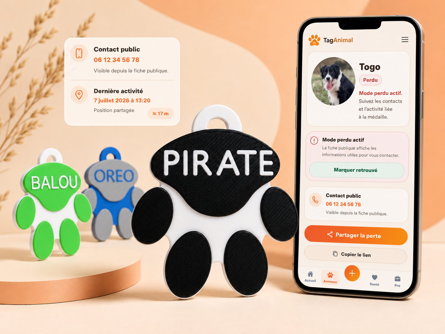 Téléphone affichant la fiche publique TagAnimal à côté de plusieurs médailles