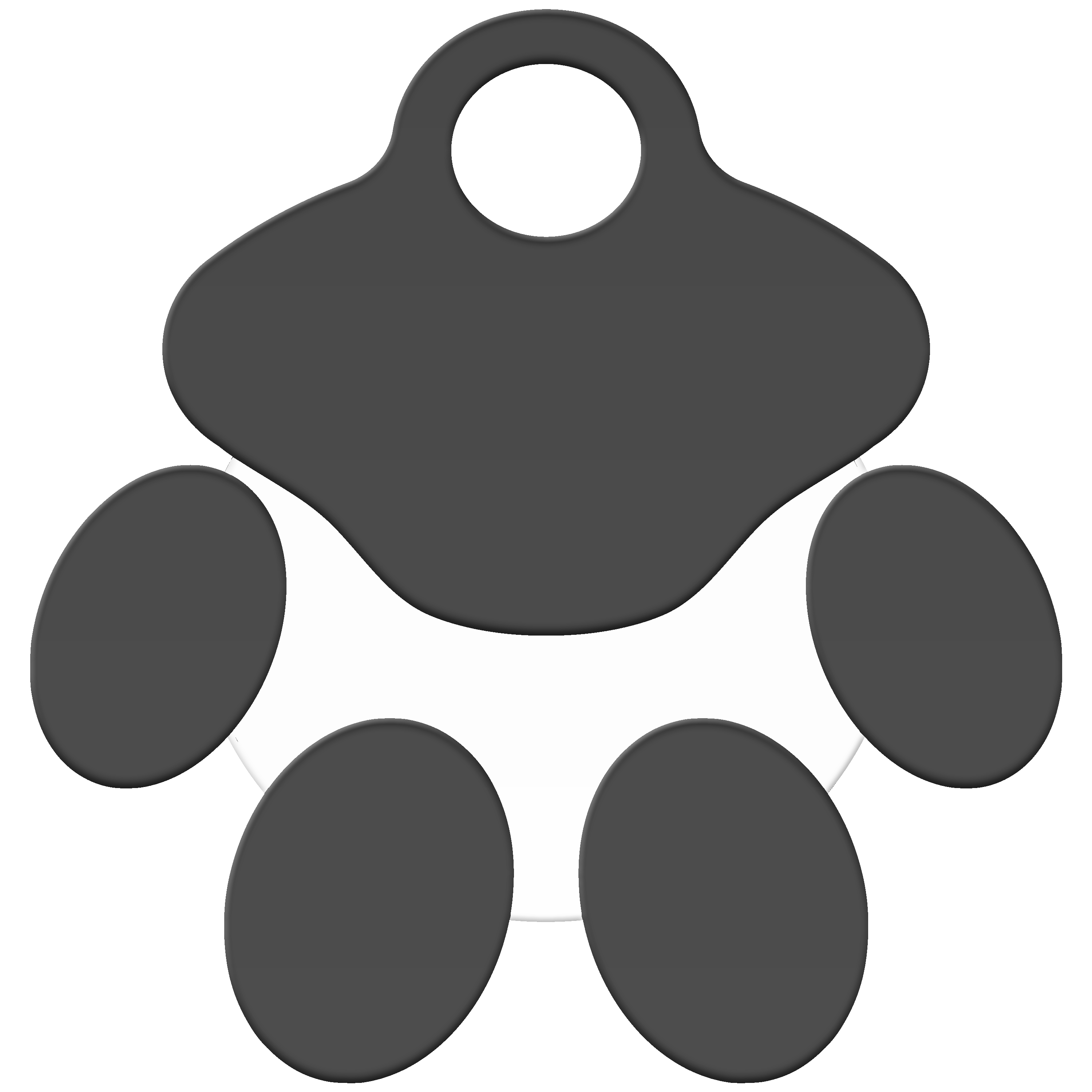 Aperçu personnalisé de Médaille Patte 