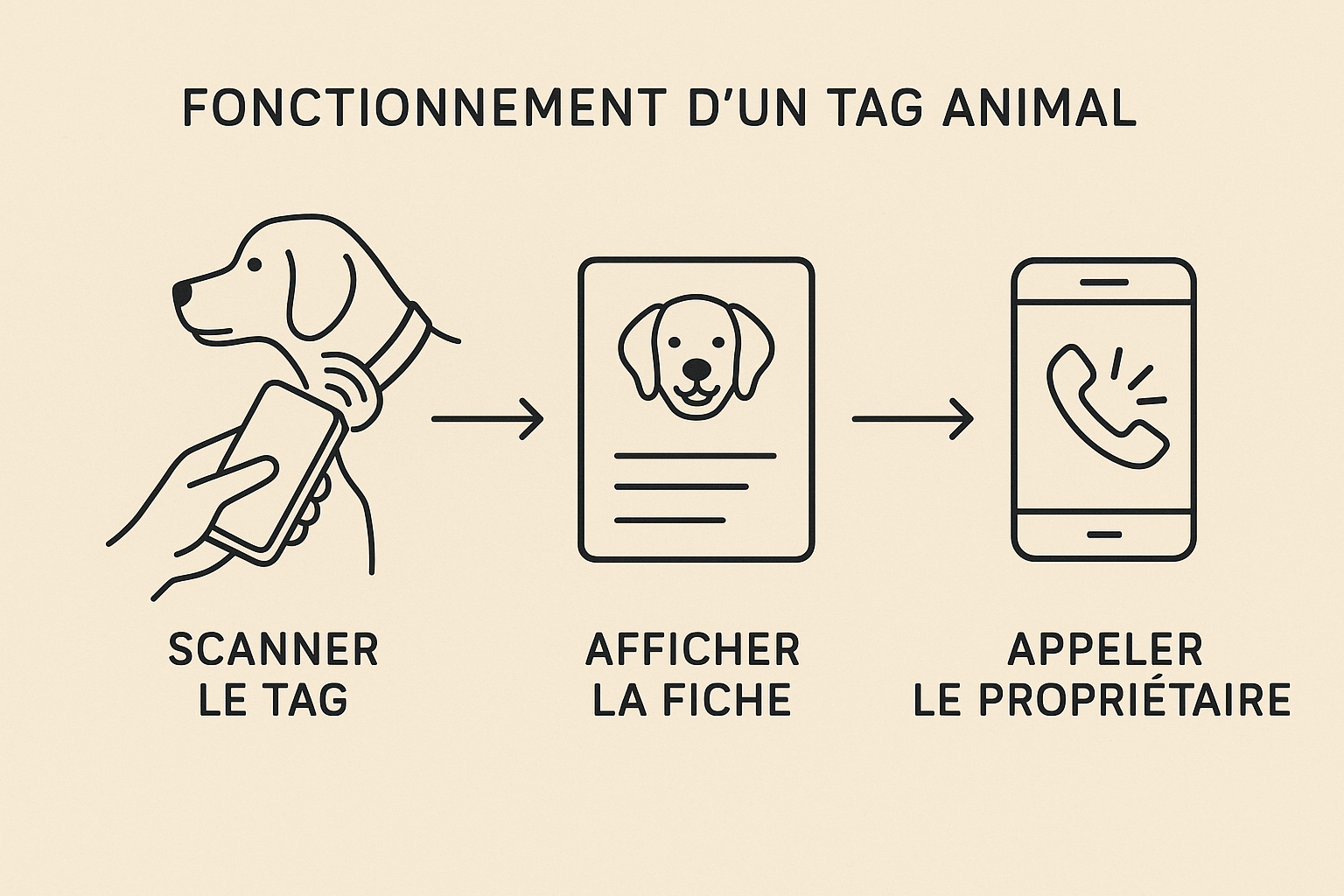 Fonctionnement TagAnimal
